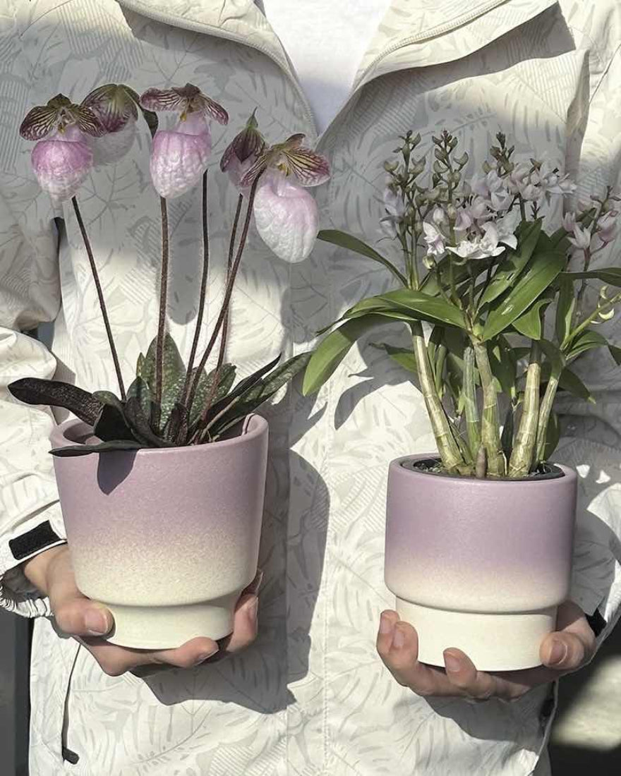 handmade indoor plant pots Handmade Contemporary Artisan Pottery Planters Flower Pot – INSPECIAL HOME