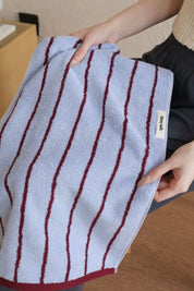 Modern Misty Blue Stripe Bath Towel — 100% Long - Staple Cotton, Soft, Plush & Absorbent - Misty Blue Stripe Towel - Bath Towel - INSPECIAL HOME