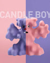Candle Boy Scented Candles - Candle Boy Scented Candles - Sage & Sea Salt - INSPECIAL HOME