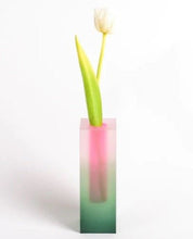 Modern Decorative Acrylic Multi-tone Pillar Vases | Designer Flower Vases - Multi - tone Acrylic Pillar Vase - Pink & Green - INSPECIAL HOME