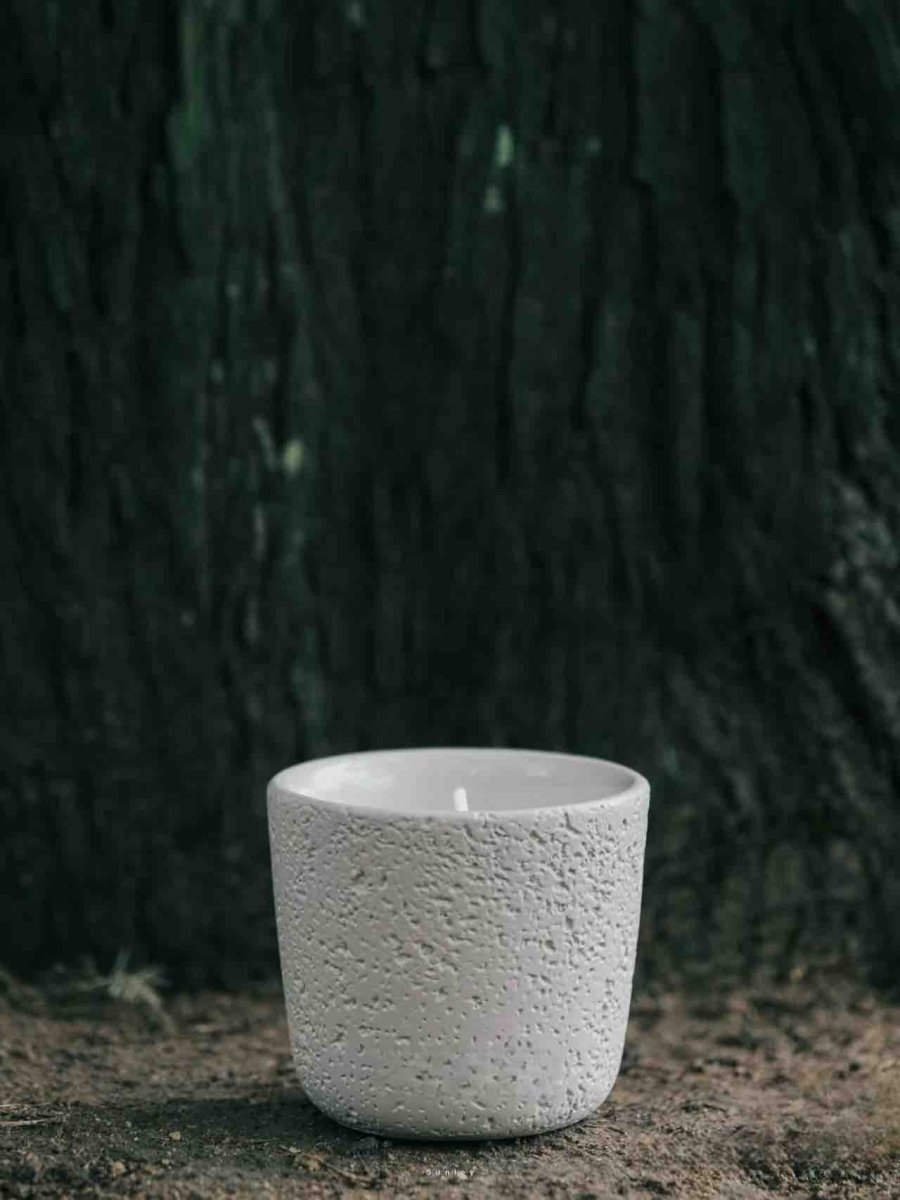 Wood Wick Soy Wax Scented Candle - Breath Of Nature Scented - Fir Forest - Candles - Wood Wick Soy Wax Scented Candle - Breath Of Nature Scented - Fir Forest - INSPECIAL HOME