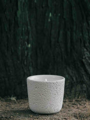 Wood Wick Soy Wax Scented Candle - Breath Of Nature Scented - Fir Forest - Candles - Wood Wick Soy Wax Scented Candle - Breath Of Nature Scented - Fir Forest - INSPECIAL HOME